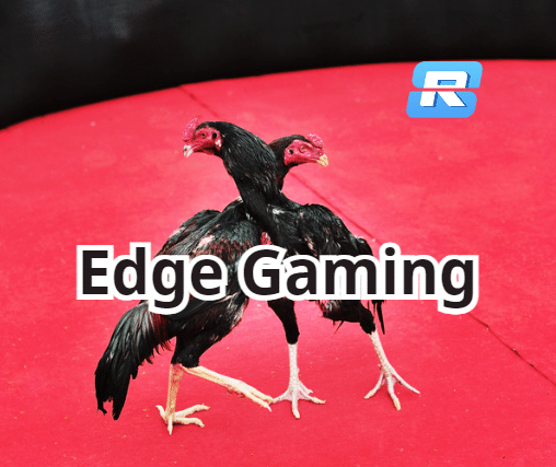 Sảnh đá gà Edge Gaming